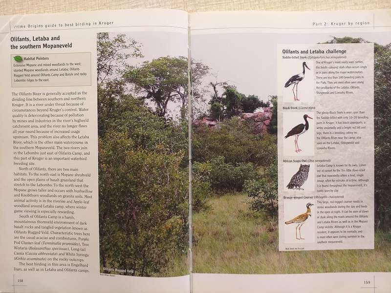 Prime Origins Guide to Best Birding in Kruger *** Reading copy ***