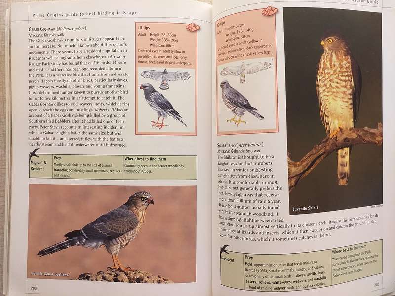 Prime Origins Guide to Best Birding in Kruger *** Reading copy ***