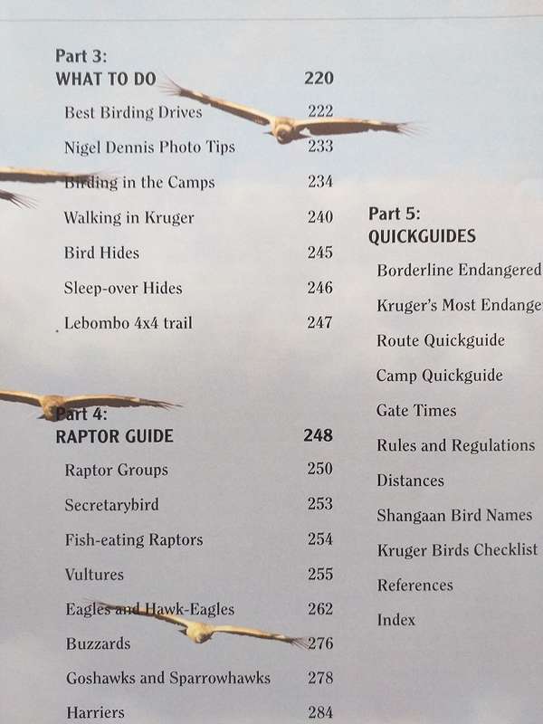 Prime Origins Guide to Best Birding in Kruger *** Reading copy ***