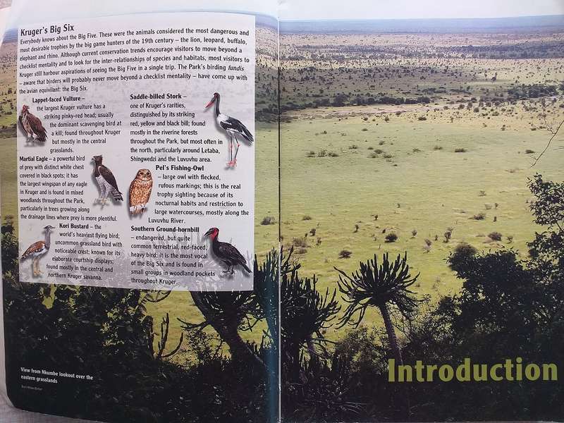 Prime Origins Guide to Best Birding in Kruger *** Reading copy ***