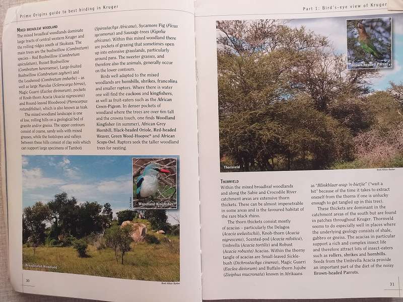 Prime Origins Guide to Best Birding in Kruger *** Reading copy ***