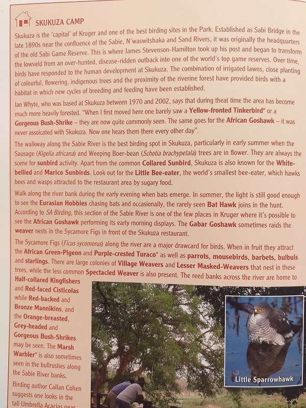 Prime Origins Guide to Best Birding in Kruger *** Reading copy ***