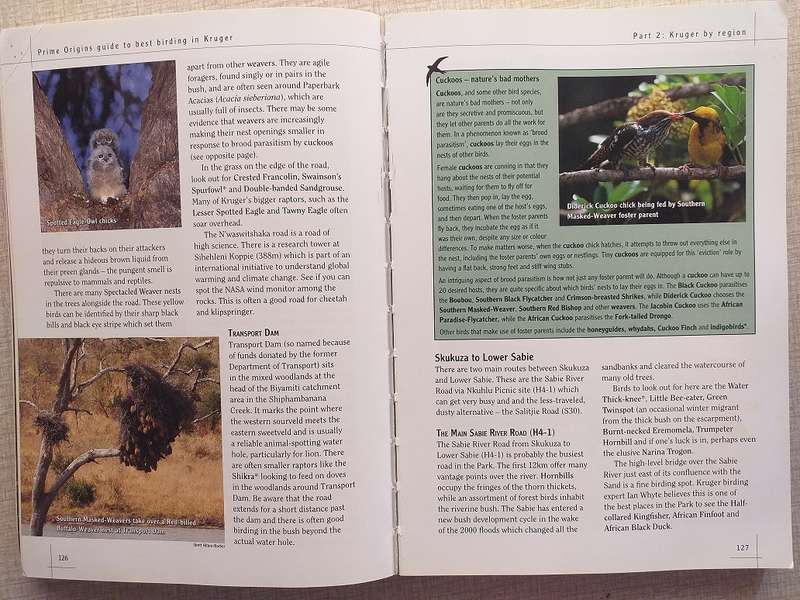 Prime Origins Guide to Best Birding in Kruger *** Reading copy ***