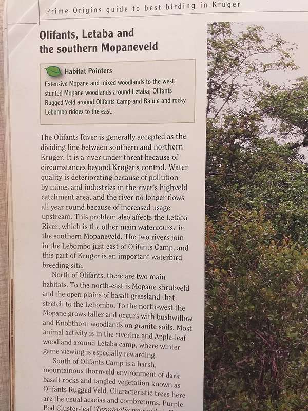 Prime Origins Guide to Best Birding in Kruger *** Reading copy ***