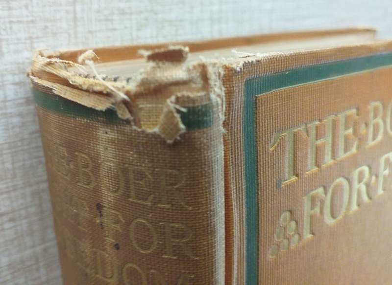 The Boer fight for freedom (Michael Davitt) 1902 original copy