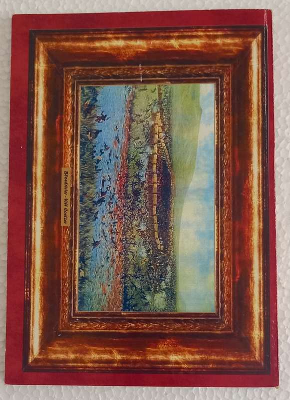 My broeders en landgenote (1838 Bloedrivier Gelofte) (Prof H van der Wateren)