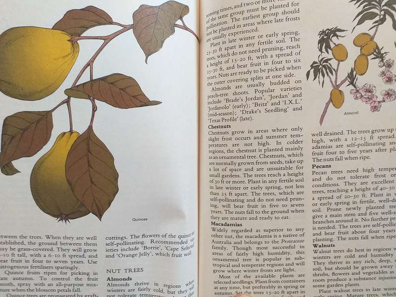 Complete Guide to Gardening in South Africa Reader's Digest 1971