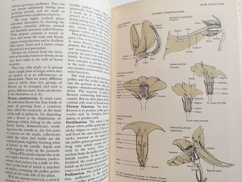 Complete Guide to Gardening in South Africa Reader's Digest 1971