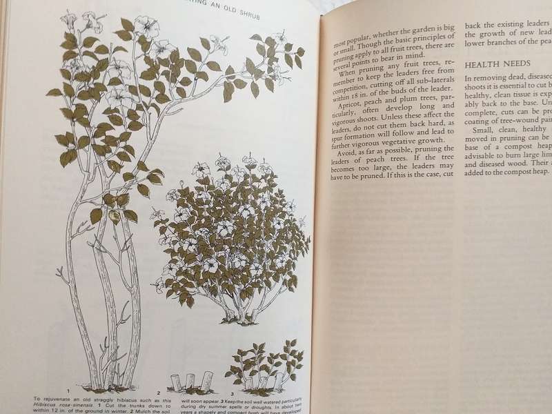 Complete Guide to Gardening in South Africa Reader's Digest 1971