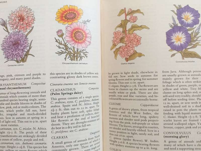 Complete Guide to Gardening in South Africa Reader's Digest 1971