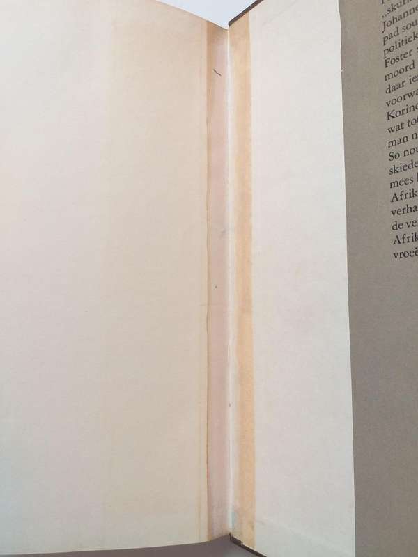 Die dood van Generaal de la Rey (HJ May & Ian Hamilton)