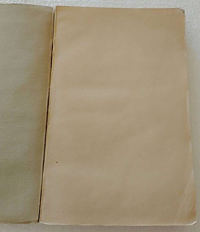 Dr WJ Leyds Eenige Correspondentie uit 1899