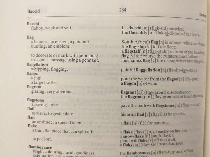An English usage dictionary for South African Schools