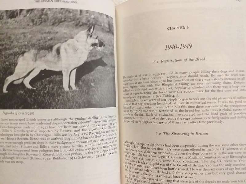 The German Shepherd Dog (MB Willis PhD)