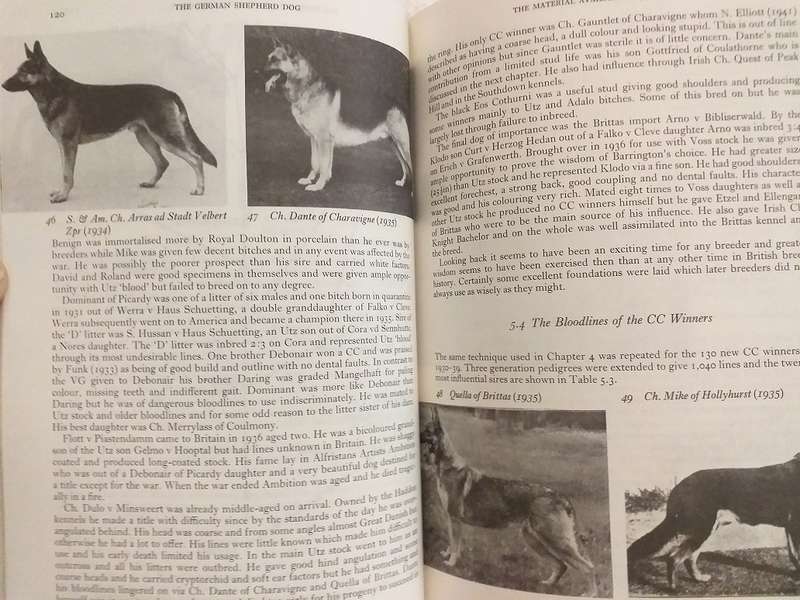 The German Shepherd Dog (MB Willis PhD)