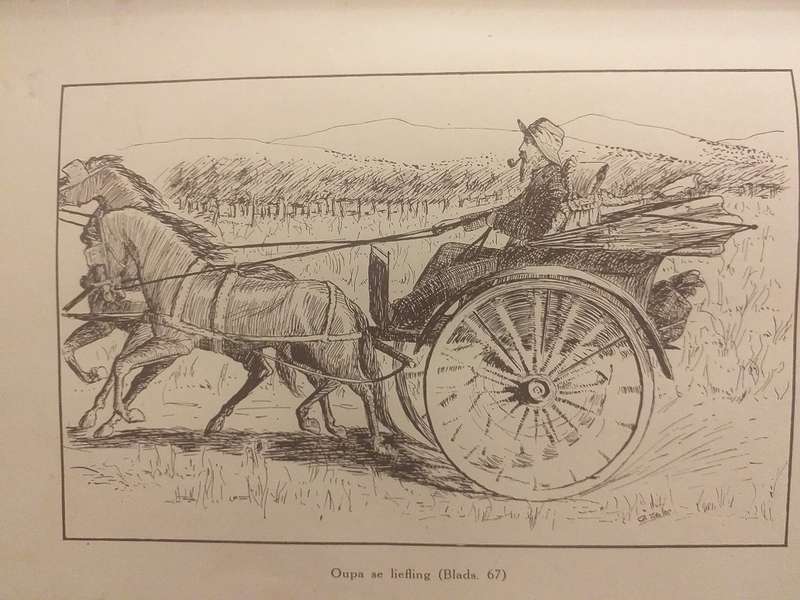 Ghwennie Barnveld (CR von Wielligh) 1924 Voortrekker jeugverhaal *** LEESKOPIE ***