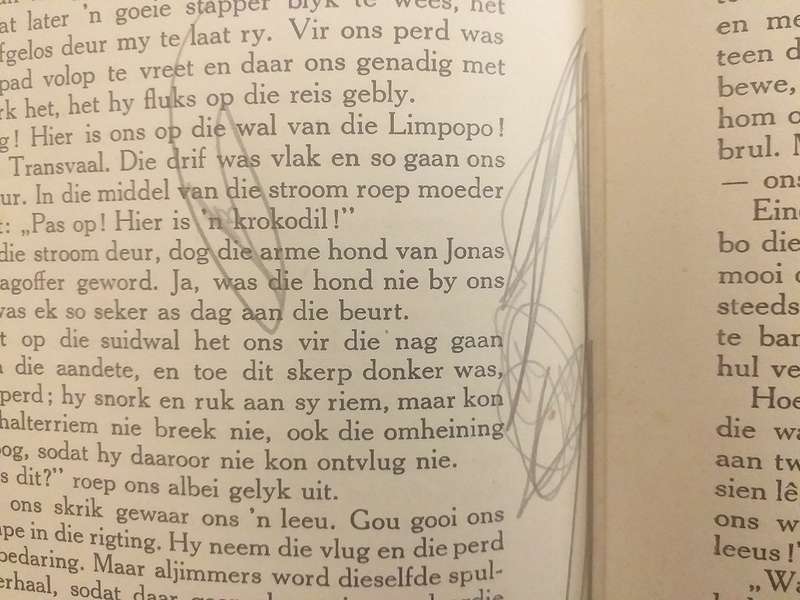 Ghwennie Barnveld (CR von Wielligh) 1924 Voortrekker jeugverhaal *** LEESKOPIE ***
