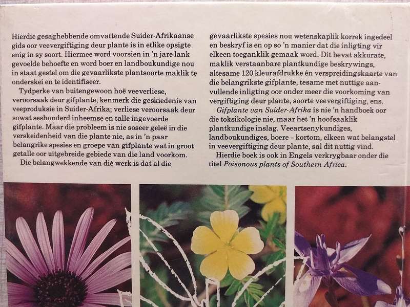 Gifplante van Suider-Afrika wat veeverliese veroorsaak (J Vahrmeijer)