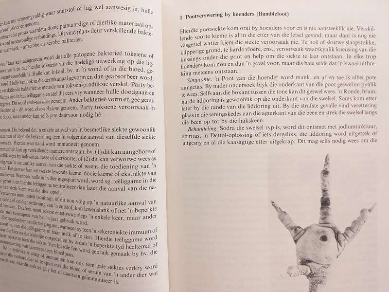 Handboek oor veesiektes (Monnig en Veldman)
