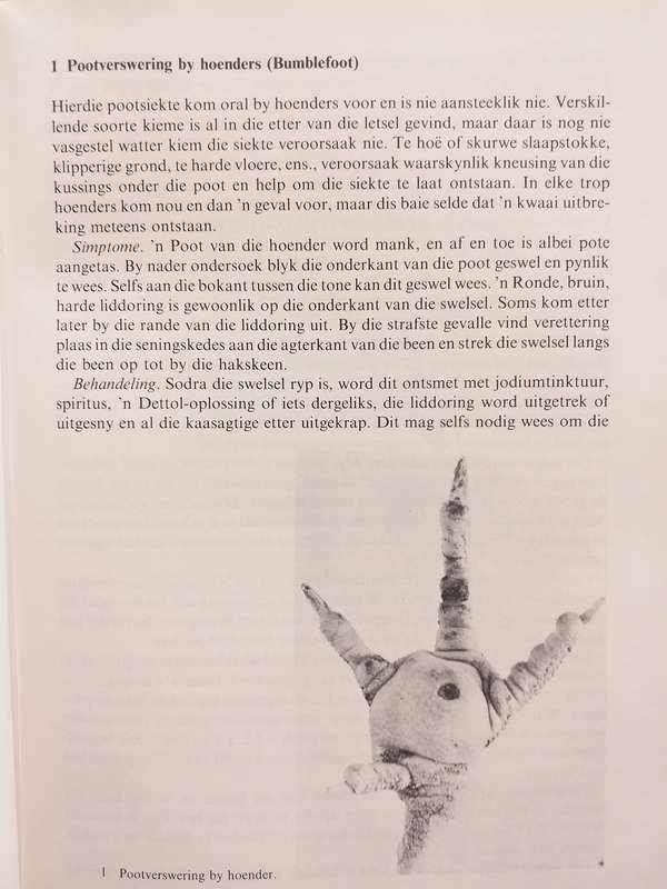 Handboek oor veesiektes (Monnig en Veldman)
