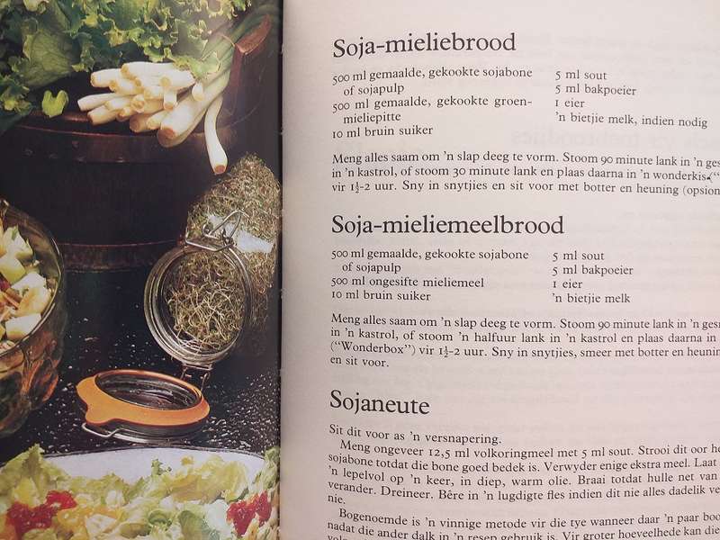 Kook gesond en lekker (Marlena Boshoff)