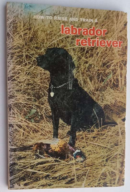 How to raise and train a Labrador Retriever *** READING COPY ***