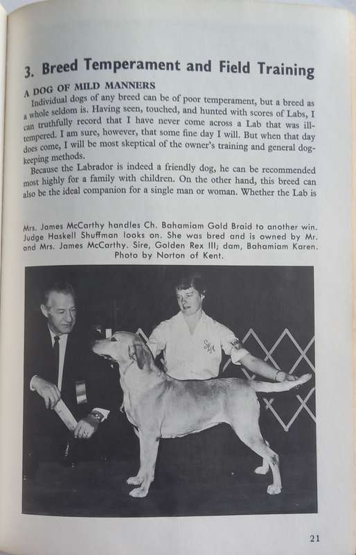 How to raise and train a Labrador Retriever *** READING COPY ***