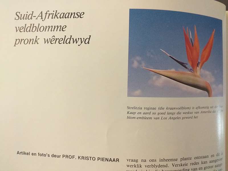 Lantern Tydskrif Magazine Mei 1981 vol 30 nr 2