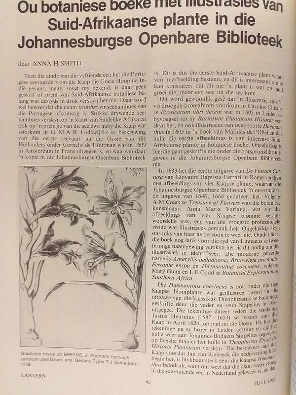 Lantern Tydskrif Magazine Julie 1982 vol 31 nr 3