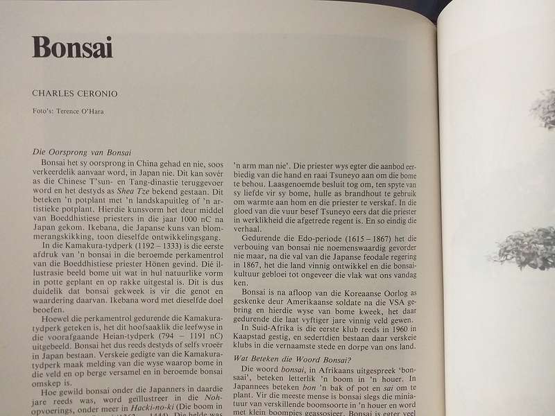 Lantern Tydskrif Magazine Des 1982 vol 32 nr 1