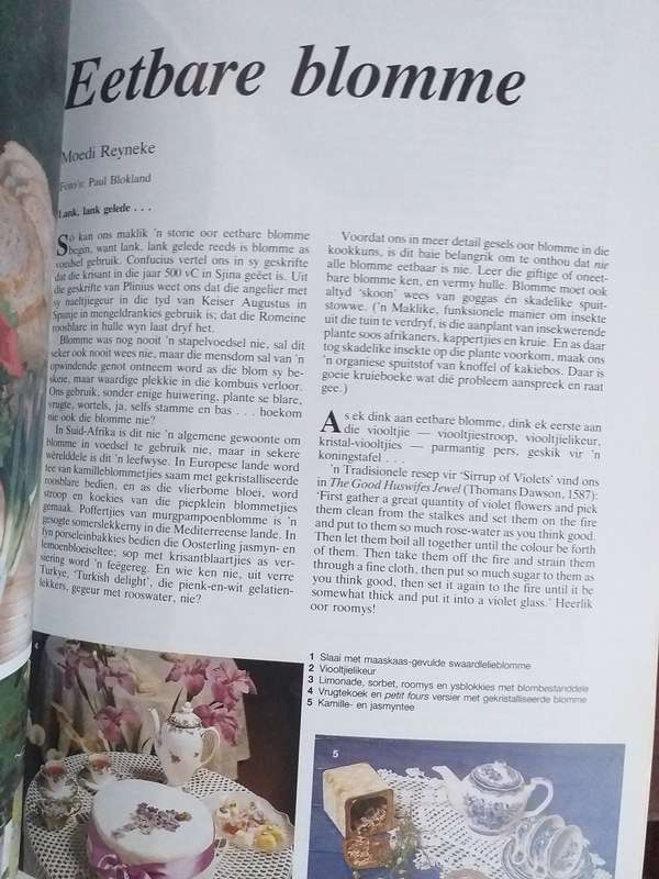 Lantern Tydskrif Magazine 1991 vol 40 nr 1