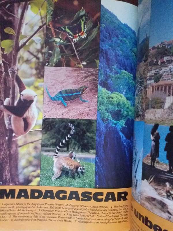 Lantern Tydskrif Magazine 1993 vol 42 nr 2