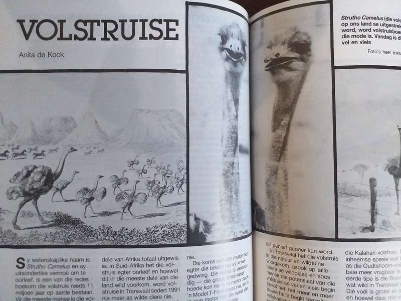 Lantern Tydskrif Magazine 1993 vol 42 nr 2