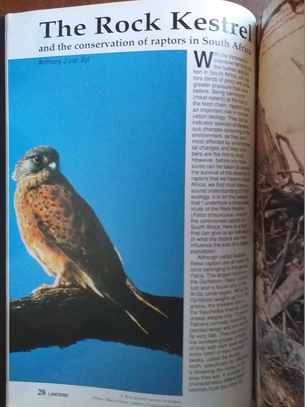 Lantern Tydskrif Magazine 1993 vol 42 nr 4
