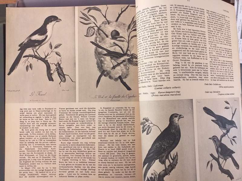 Lantern Tydskrif Magazine Apr Jun 1958 vol 7 nr 4