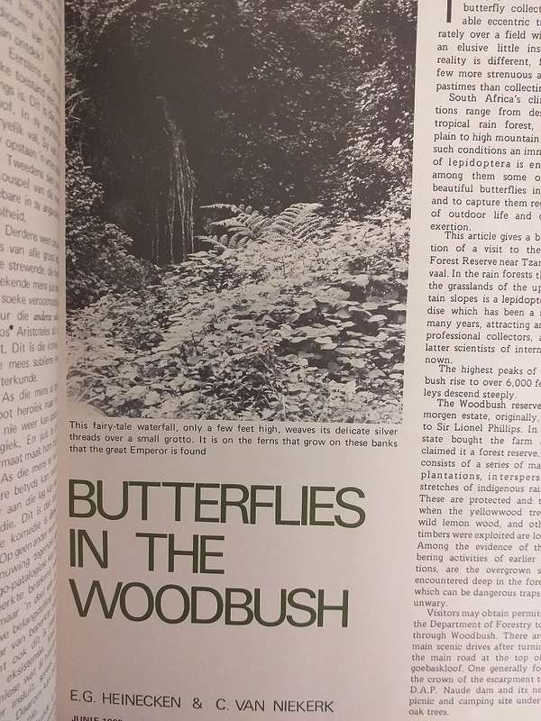 Lantern Tydskrif Magazine Jun 1969 vol 18 nr 4
