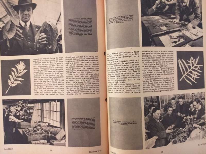 Lantern Tydskrif Magazine Okt Des 1959 vol 9 nr 2