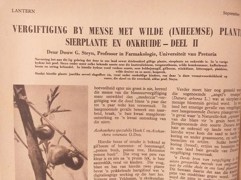 Lantern Tydskrif Magazine Sept 1951 vol 1 nr 4