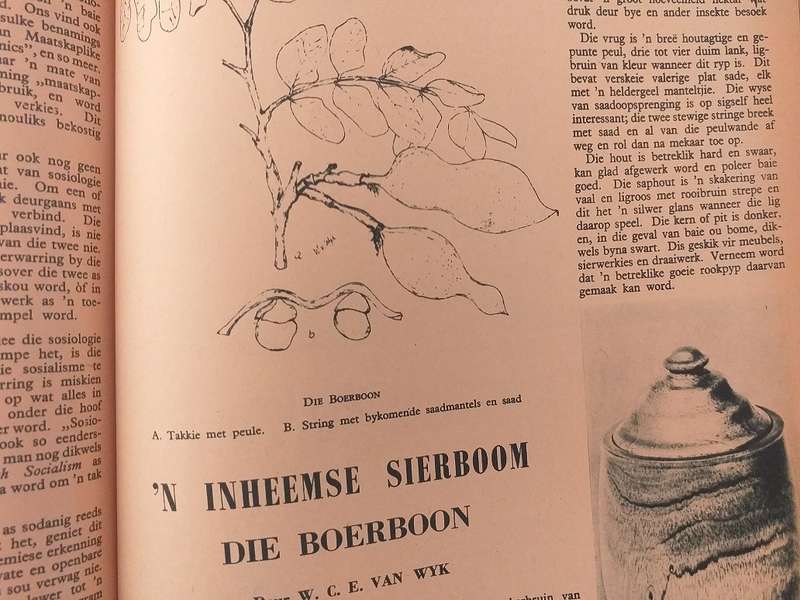 Lantern Tydskrif Magazine Sept 1951 vol 1 nr 4