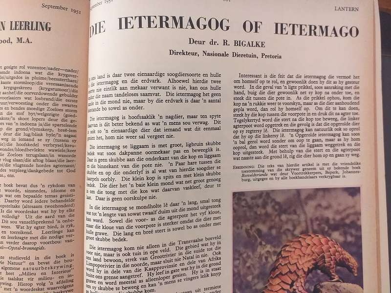Lantern Tydskrif Magazine Sept 1951 vol 1 nr 4