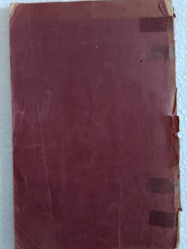 Die Nasionale Portret boek 1917  Rebellie fotos van rebelle