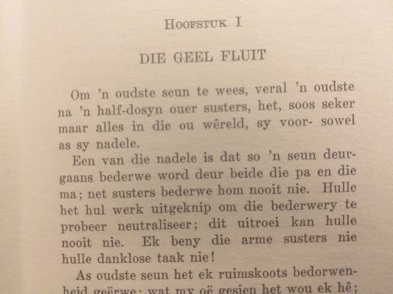 Onder die lood (JP Muller)