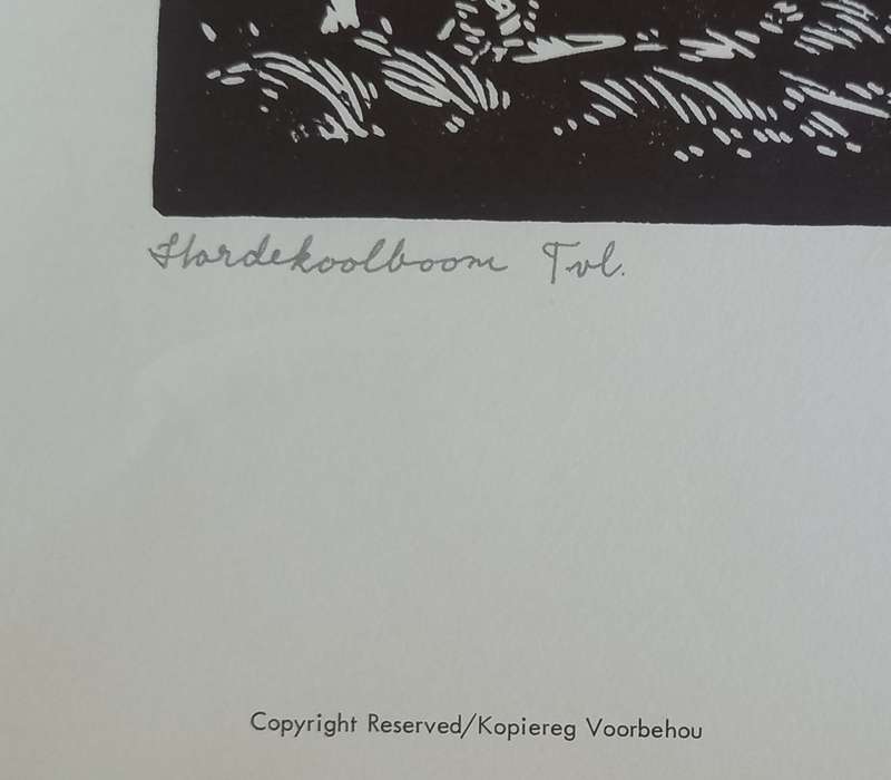 Linosniee afdruk van Hardekoolboom Transvaal deur Jacob Hendrik Pierneef