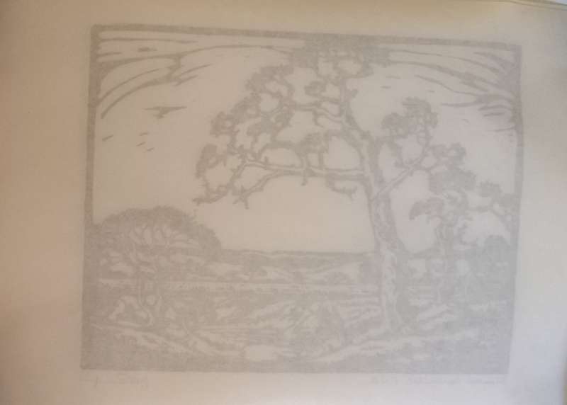 Linosniee afdruk van Doringboom Marienthal SWA deur Jacob Hendrik Pierneef