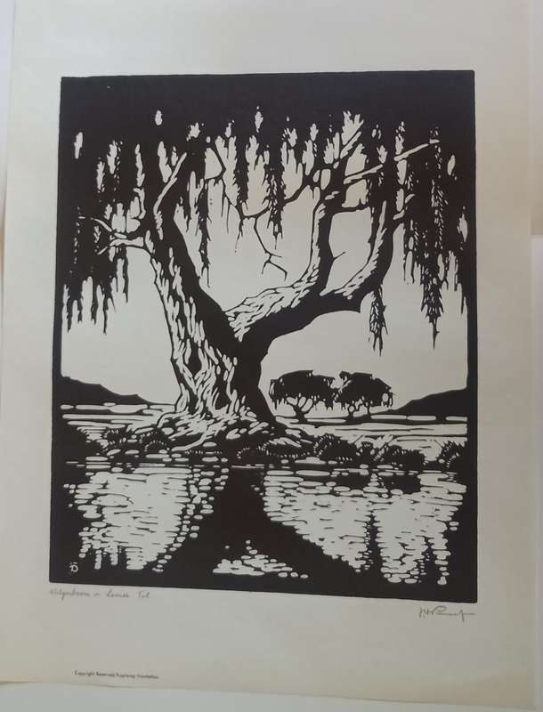 Linosniee afdruk van Wilgerboom in Somer deur Jacob Hendrik Pierneef