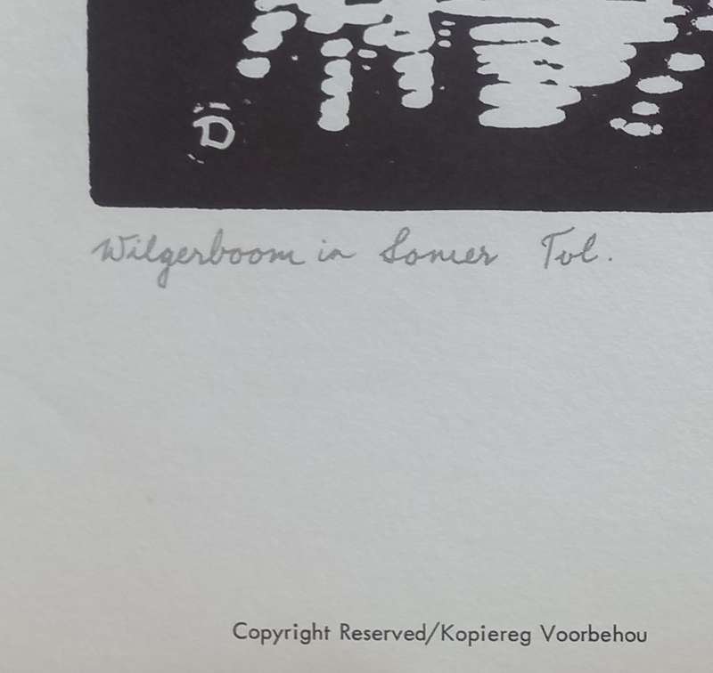 Linosniee afdruk van Wilgerboom in Somer deur Jacob Hendrik Pierneef