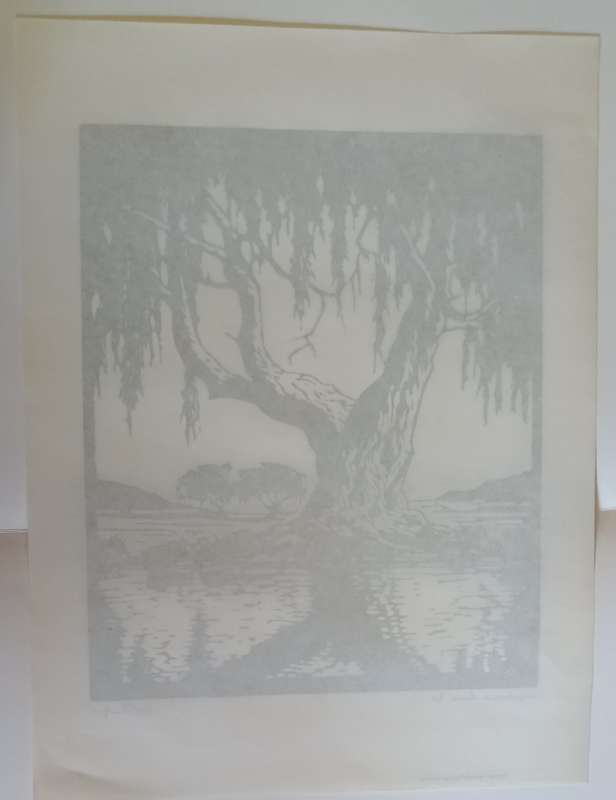 Linosniee afdruk van Wilgerboom in Somer deur Jacob Hendrik Pierneef