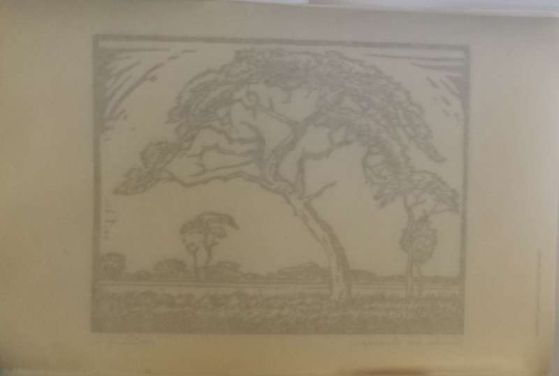 Linosniee afdruk van Doringboom met landskap deur Jacob Hendrik Pierneef