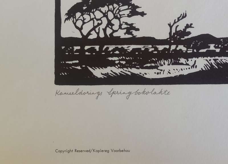 Linosniee afdruk van Kameeldorings Springbokvlakte deur Jacob Hendrik Pierneef