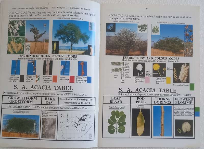SA Acacia Identifikasiegids Identification Guide (Marthinus Steyn)